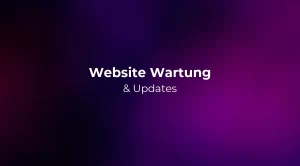 Website Wartung & Updates 2026