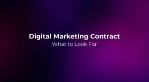Digital Marketing Contract: What to Look For